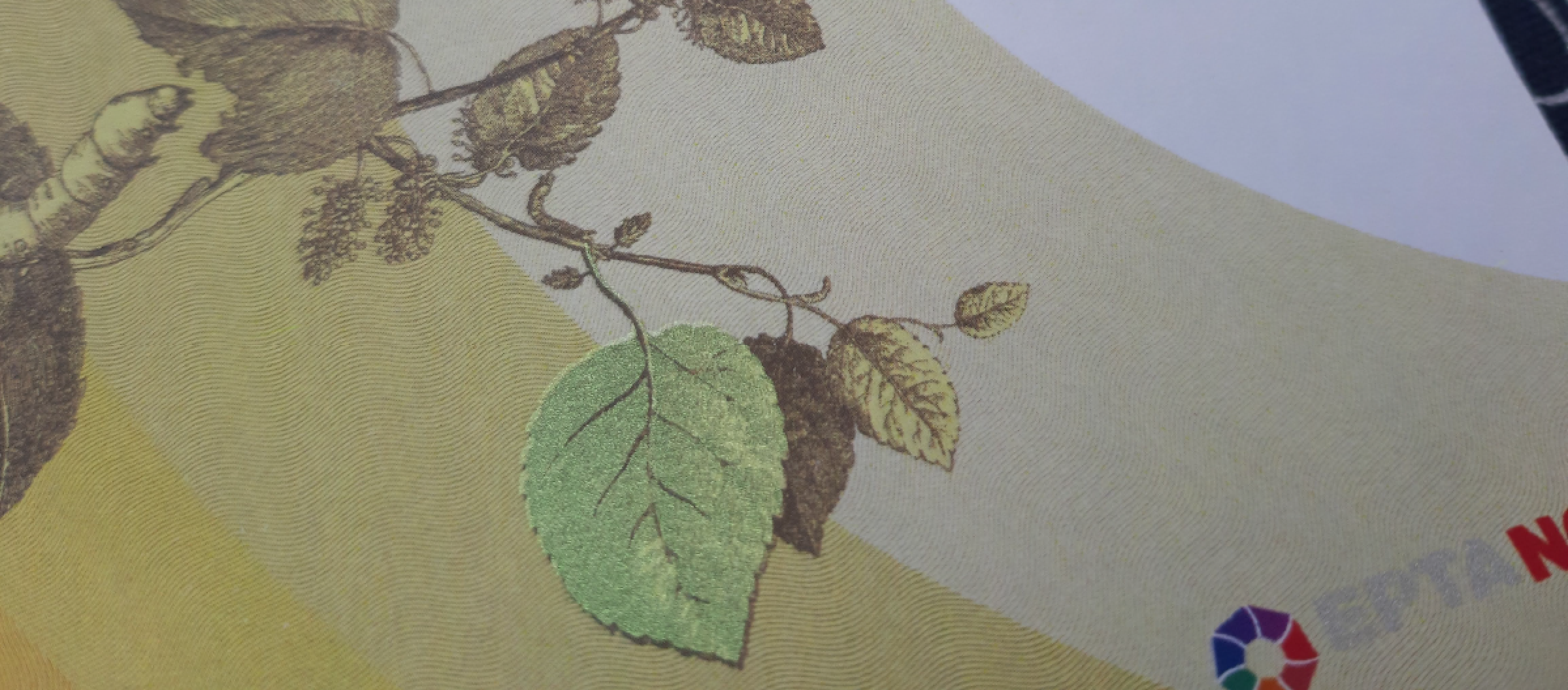 Stampa banconote